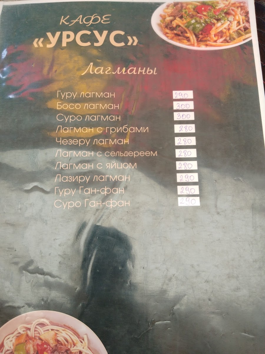Menu Ursus-9