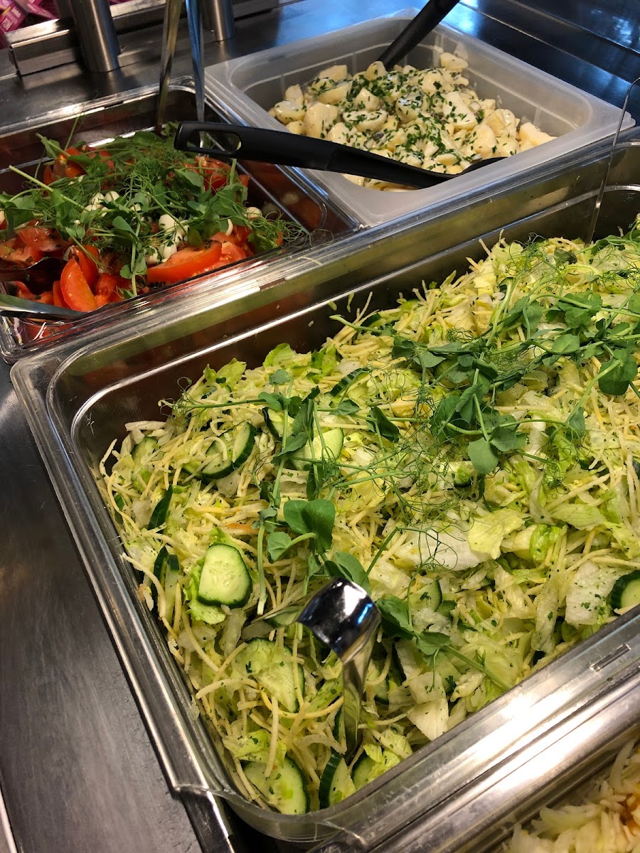 Vanha Unkka-3