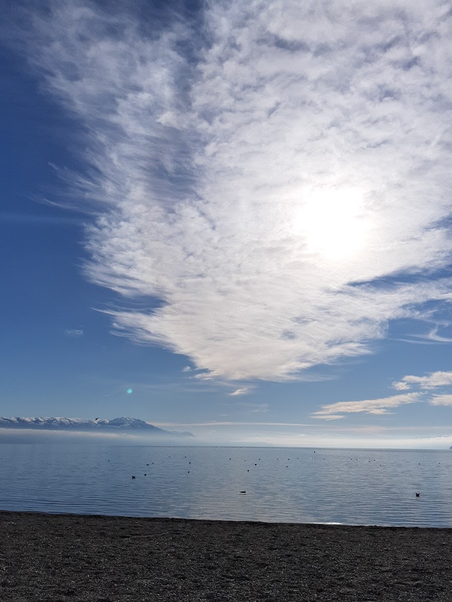 Vanila Sky-4
