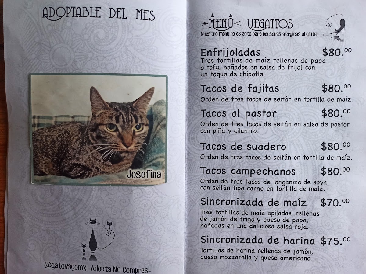 Menu Vegattos-9