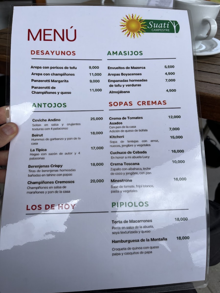 Menu Vegetarian Restaurant Suatí-3