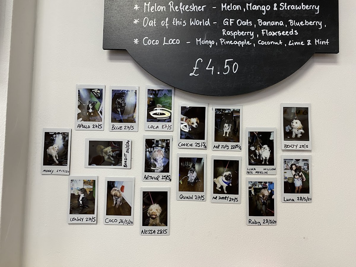 Menu Vemillion-8