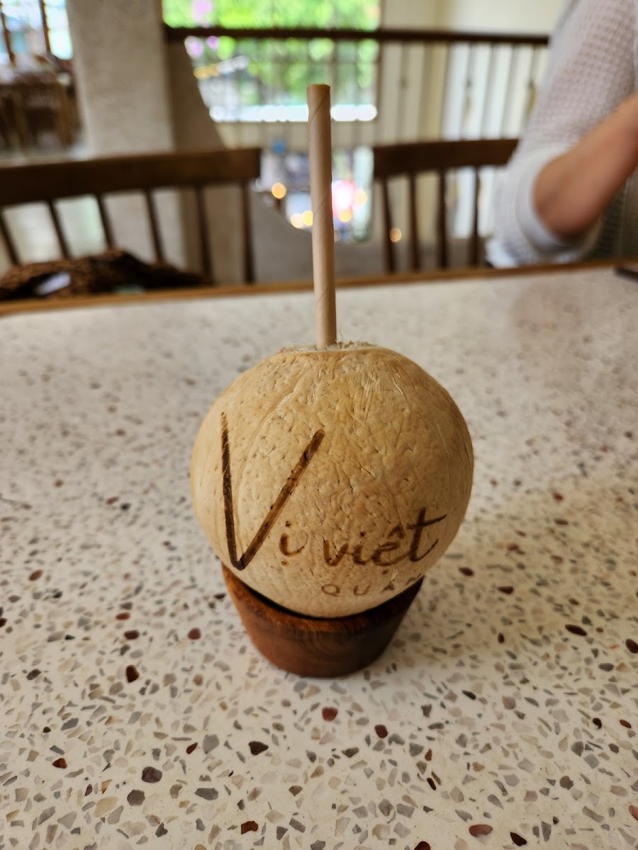 Vi Viet Quan-6