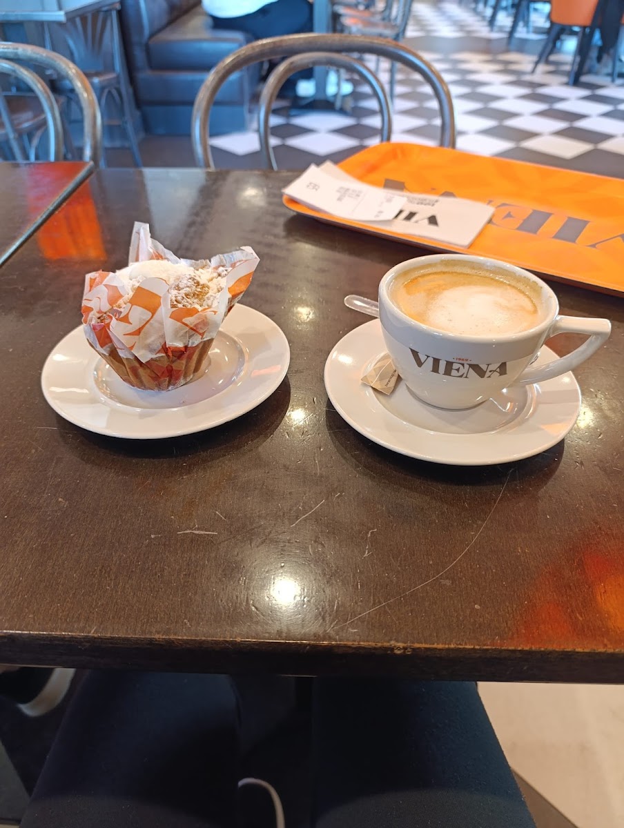Viena Barcelona-3
