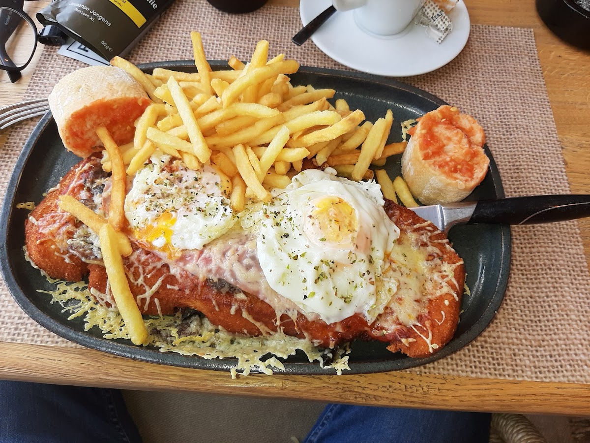 Viena Barcelona-9
