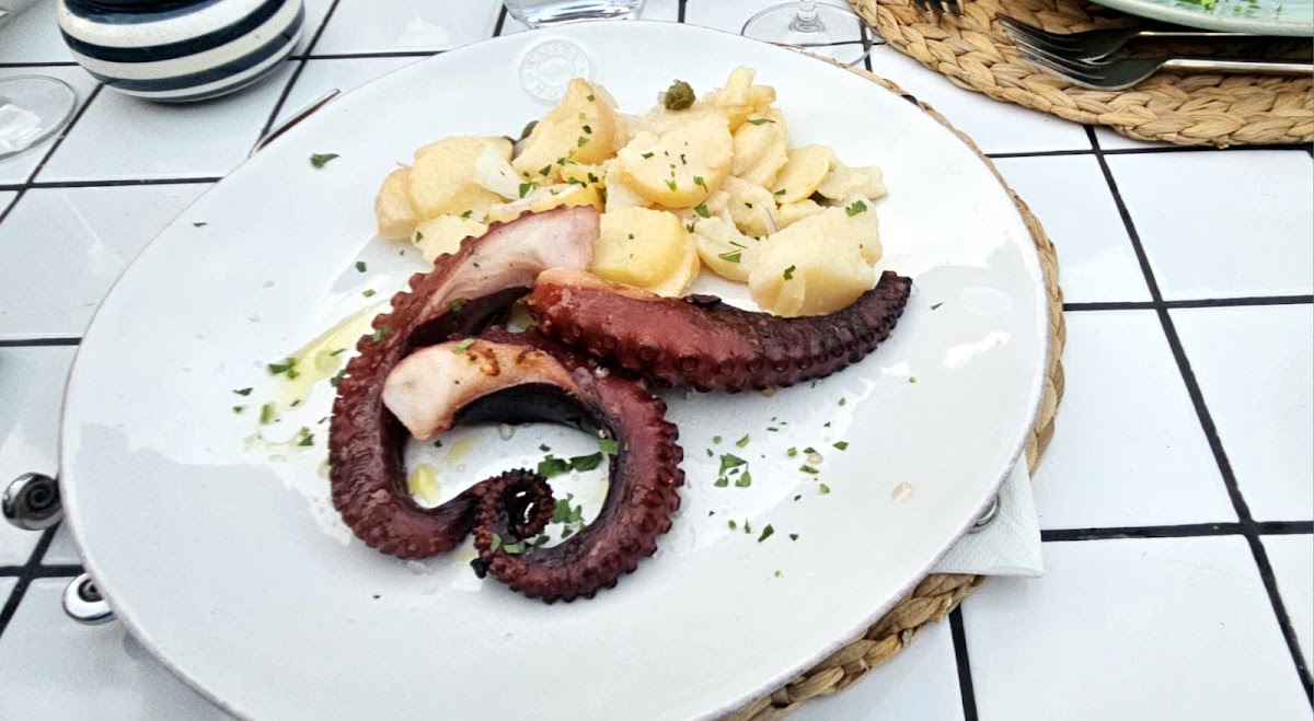 Villa Rava 'kod Papagaja'-10