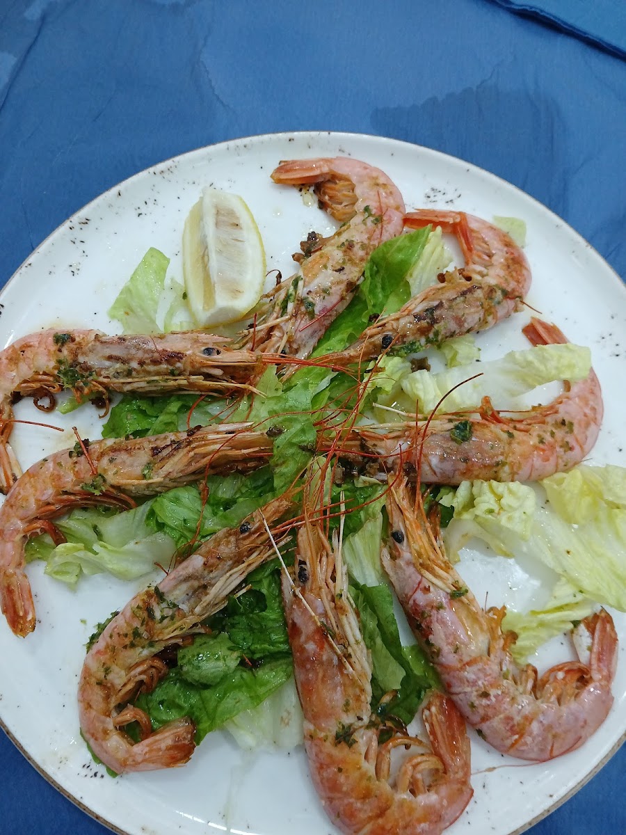 Villa Rosa Restaurant-2
