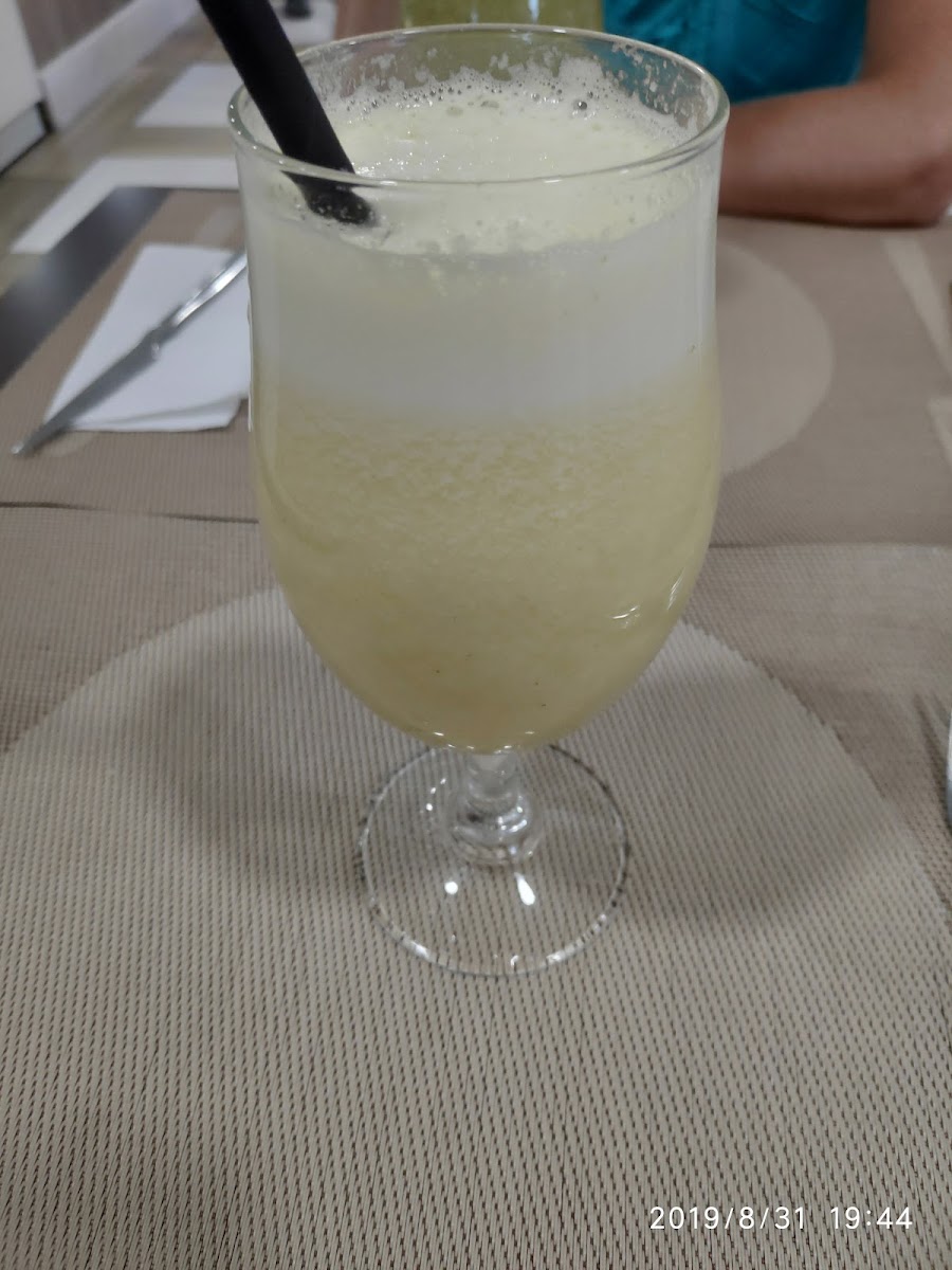 Visipanema-8