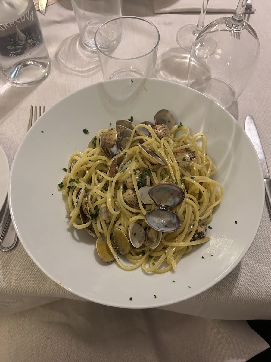 Vivarelli Genova-3