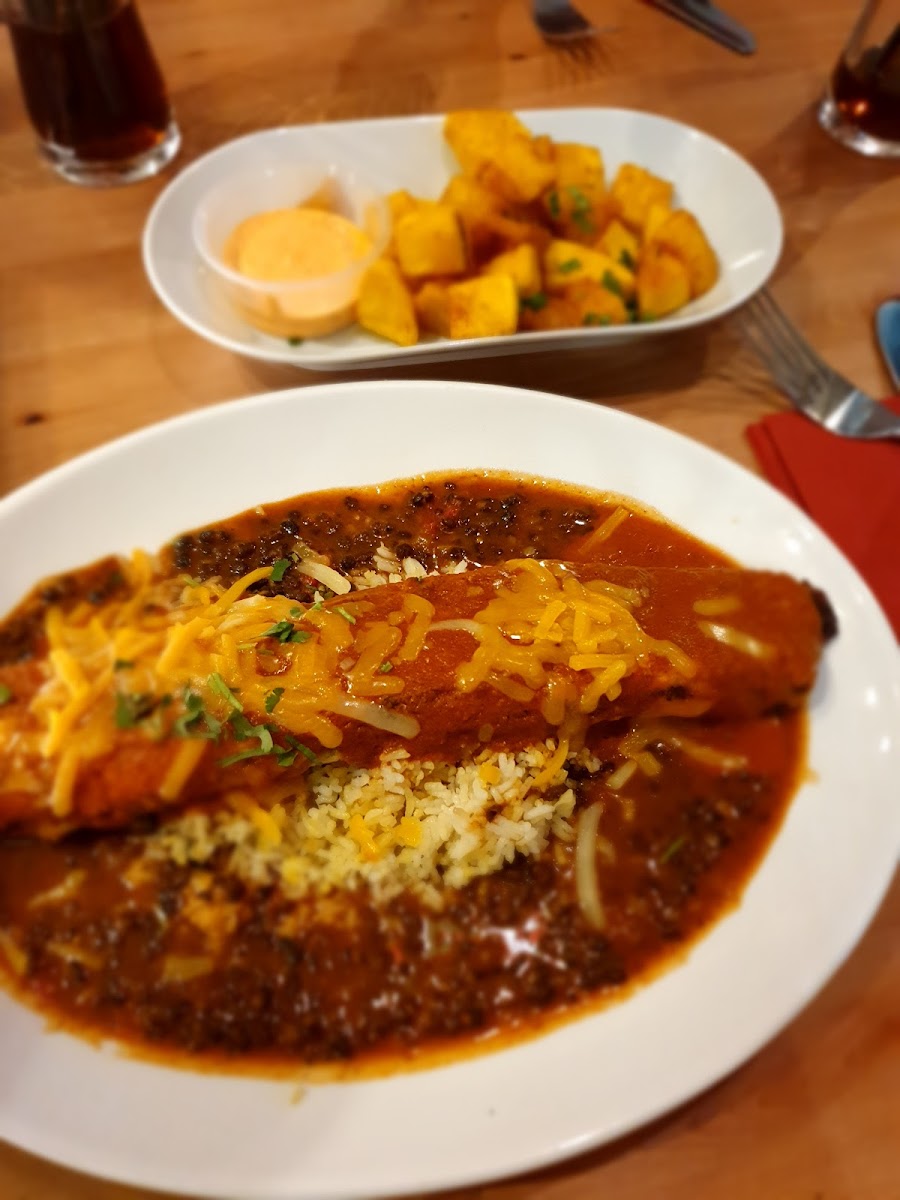 Vivo Amigo Cardiff-9