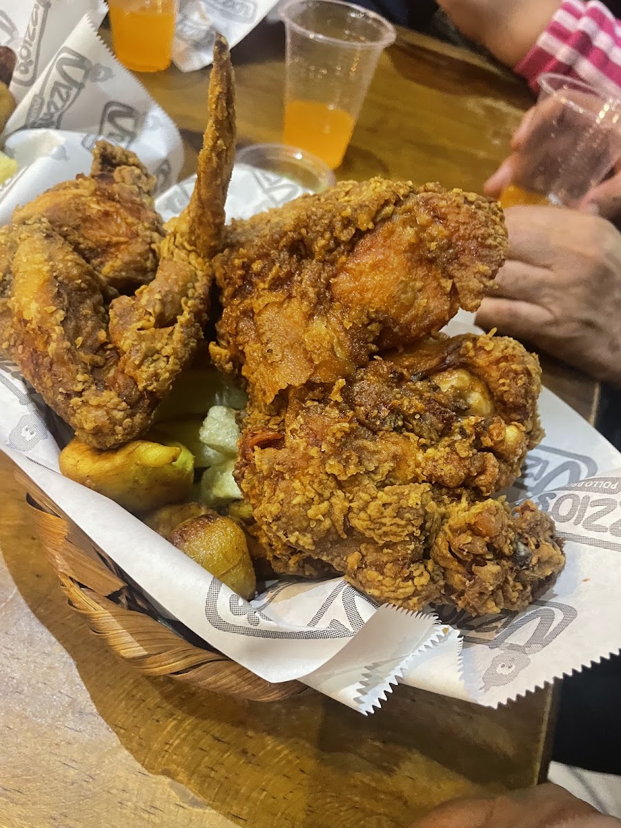 Vizzio's Chickens-8