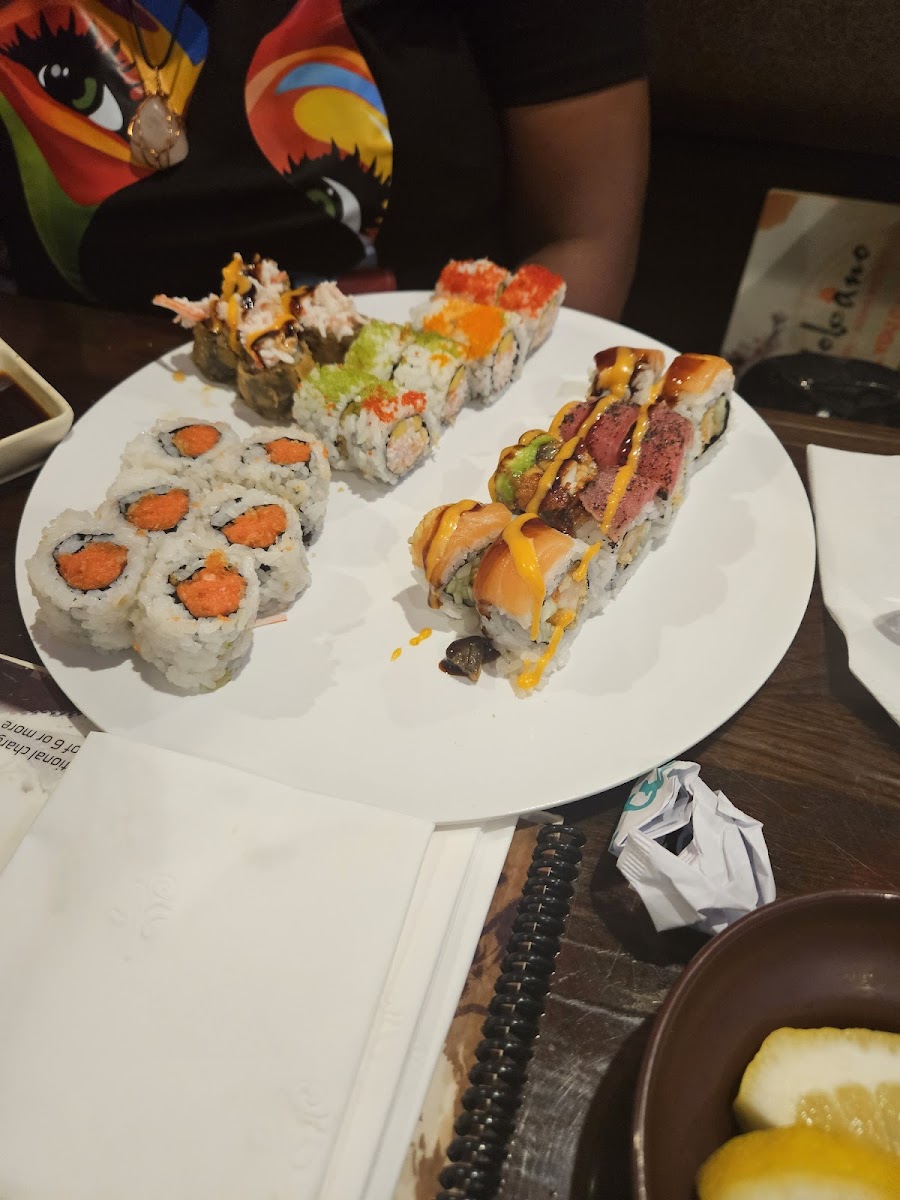 Volcano Sushi & Asian Bistro-10