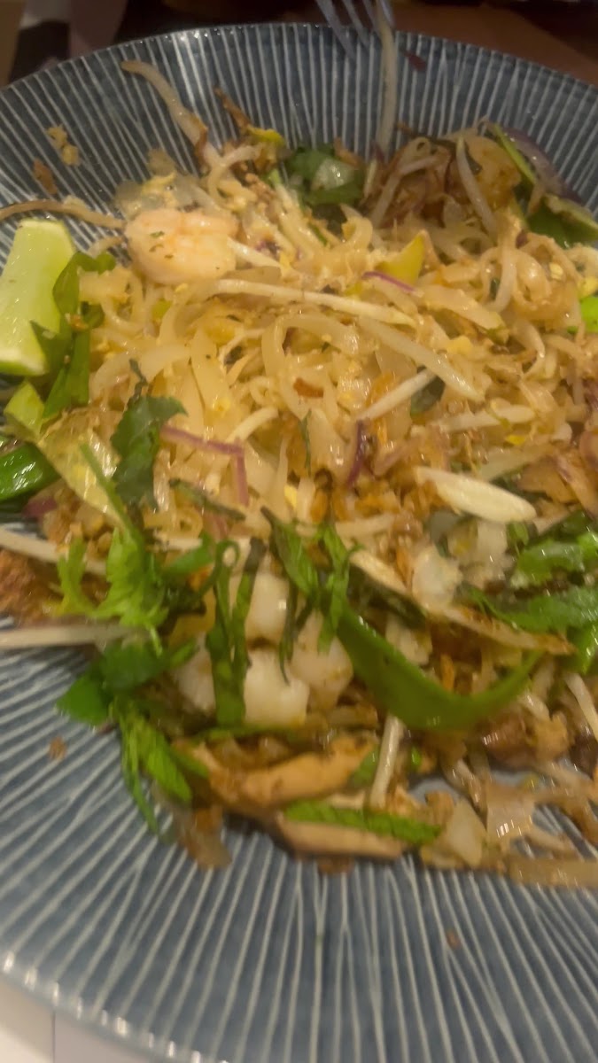Wagamama Kensington-2