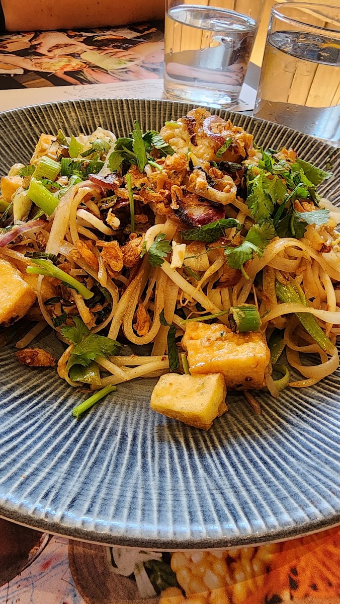 Wagamama Kensington-5