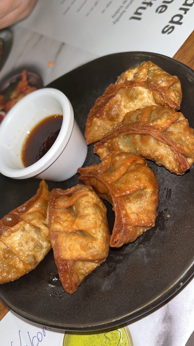 Wagamama Motor City-7