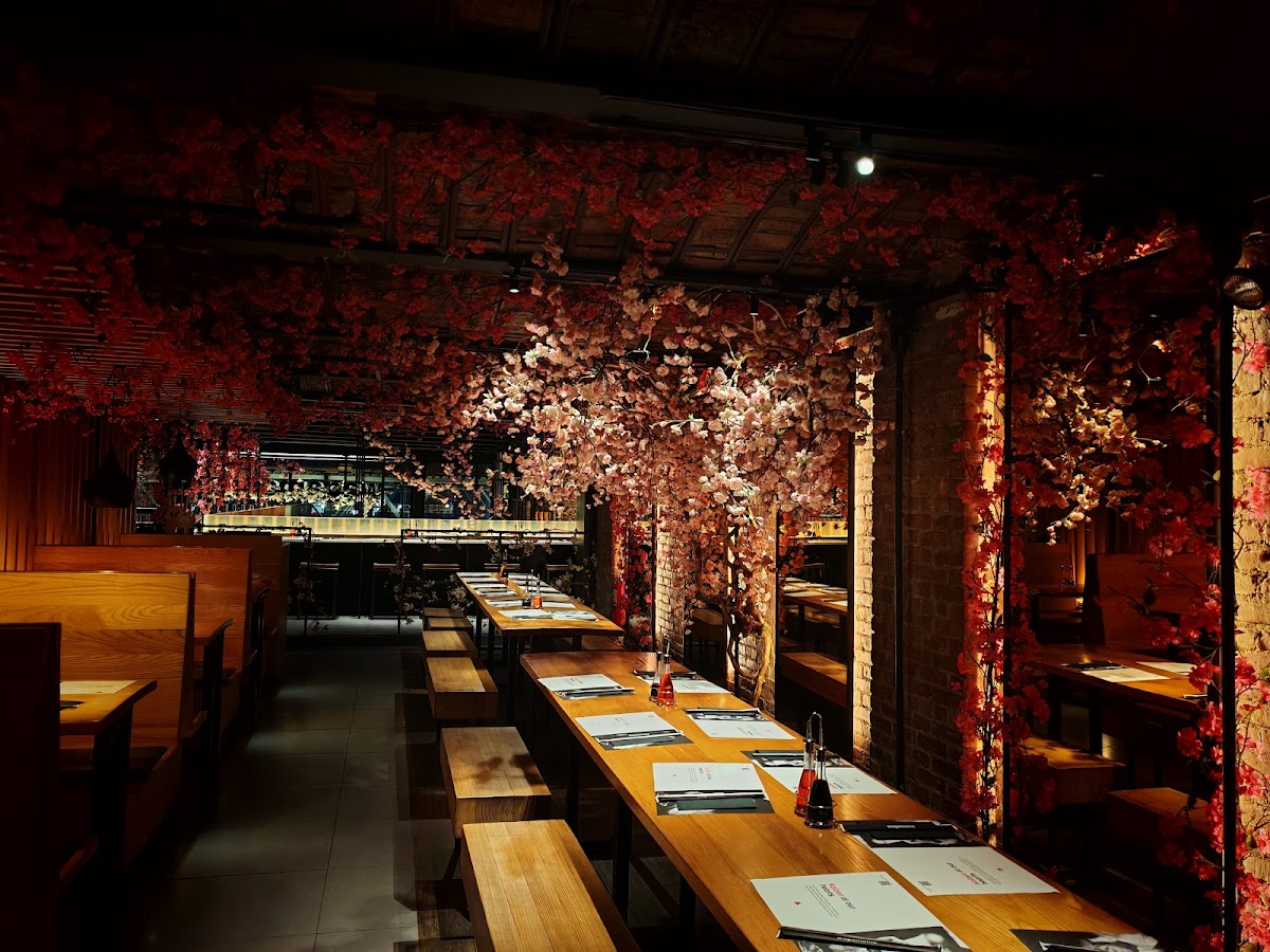 Wagamama, Nomad, New York-3