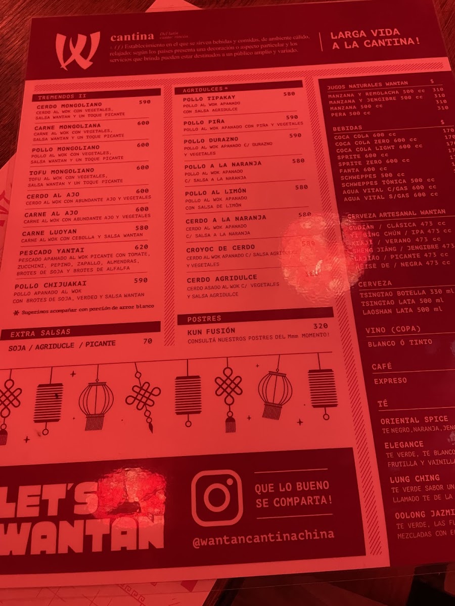 Menu Wantan Punta Carretas-10
