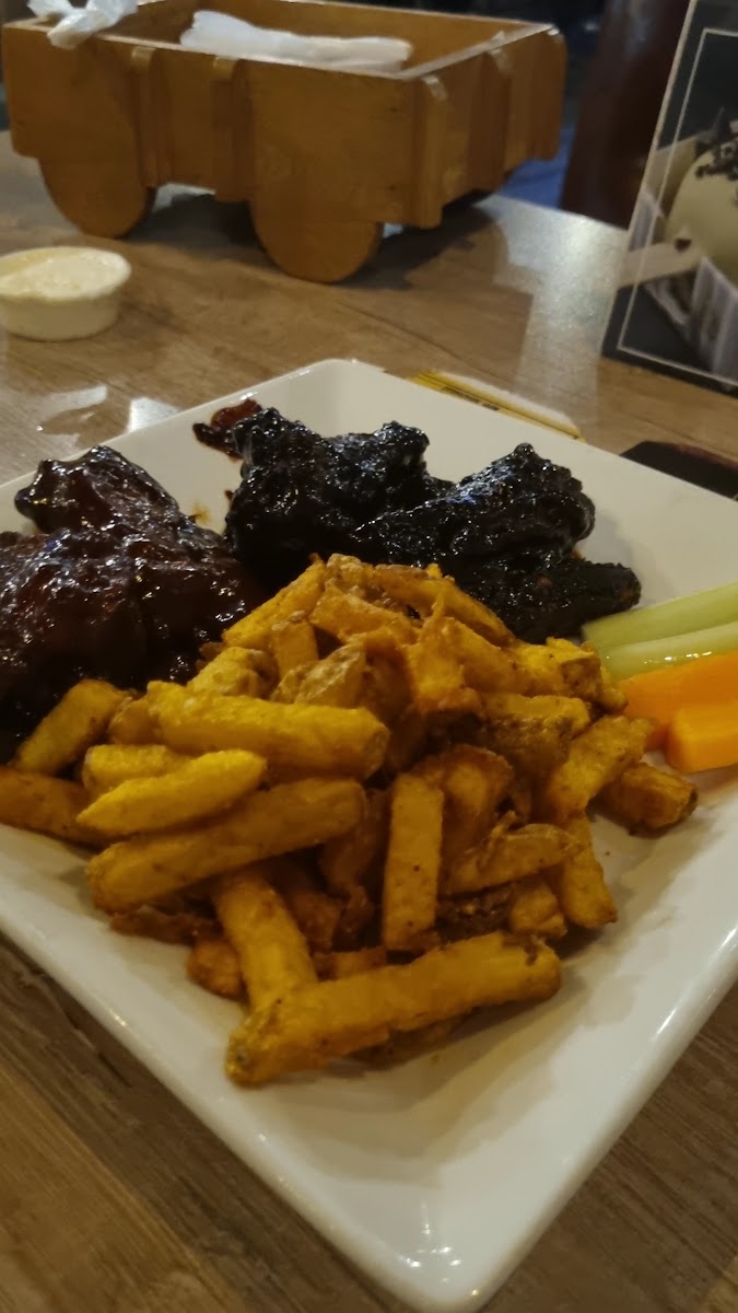 Western Wings-2