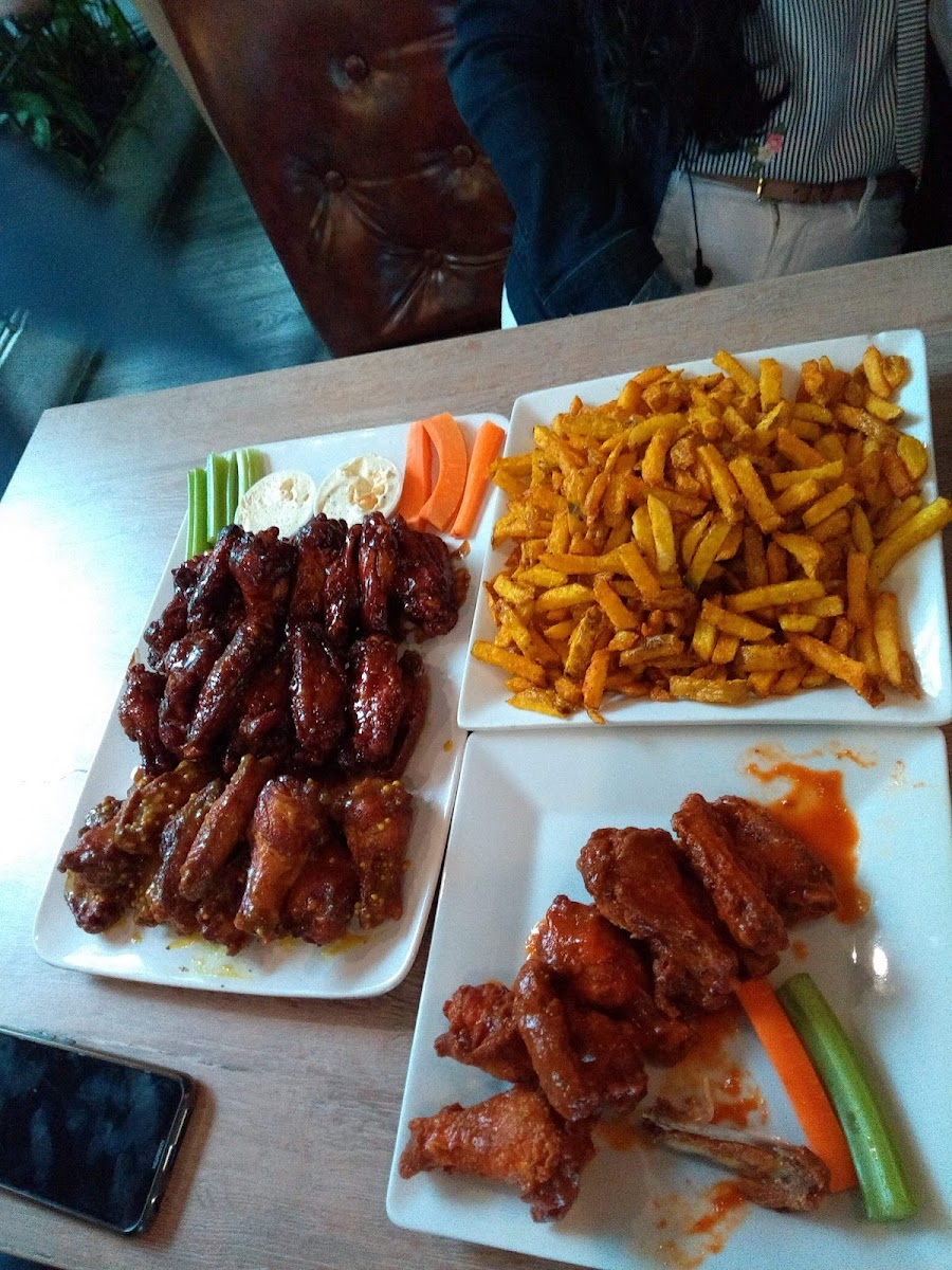 Western Wings-6