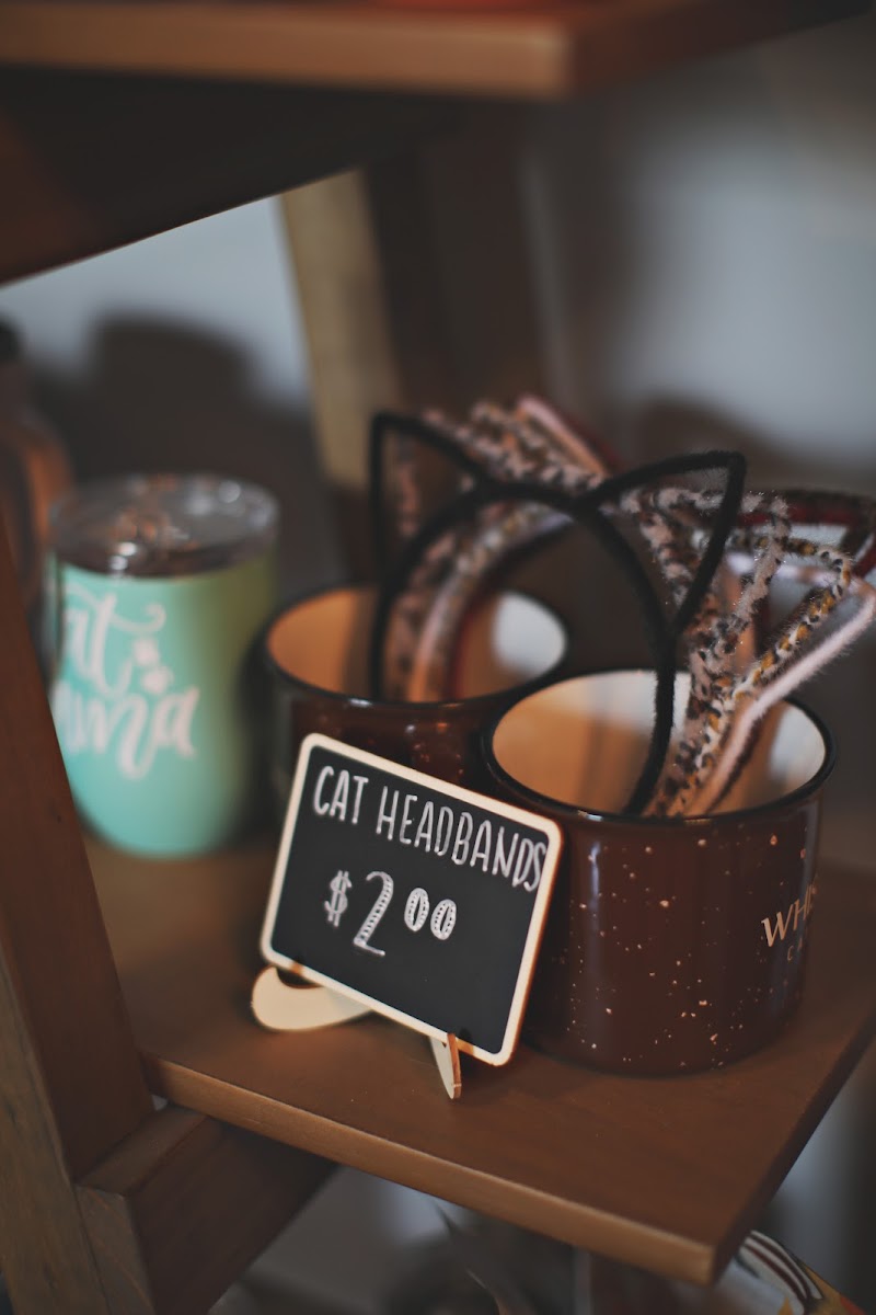 Whiskers Cat Cafe & Coffeehouse-7