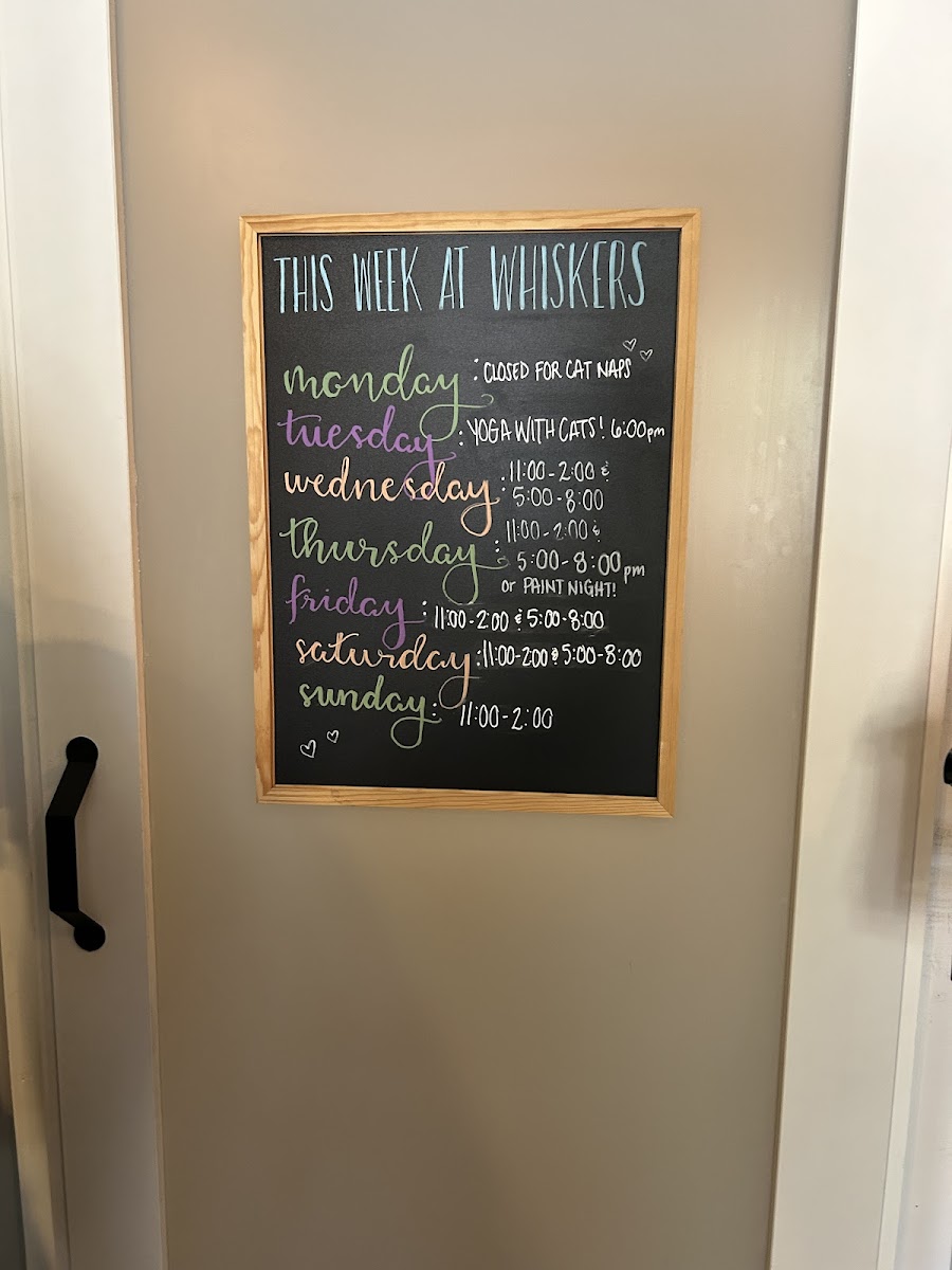Menu Whiskers Cat Cafe & Coffeehouse-7