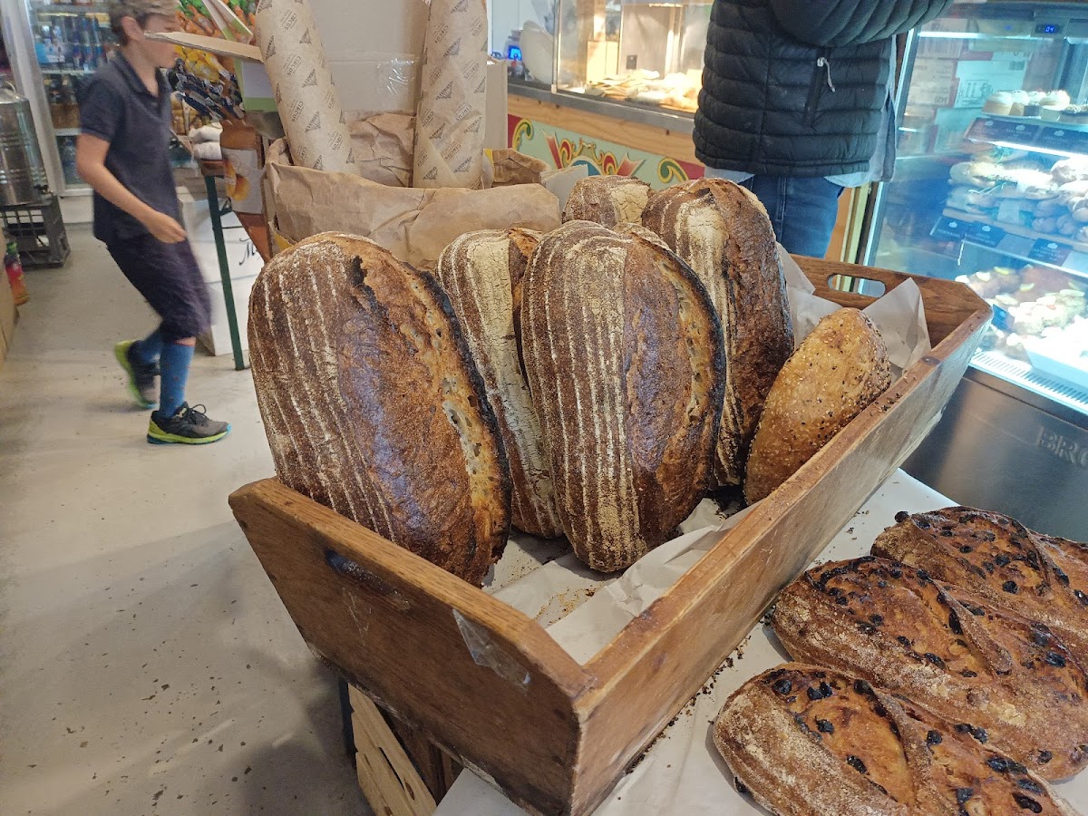 Wholefood Circus-6