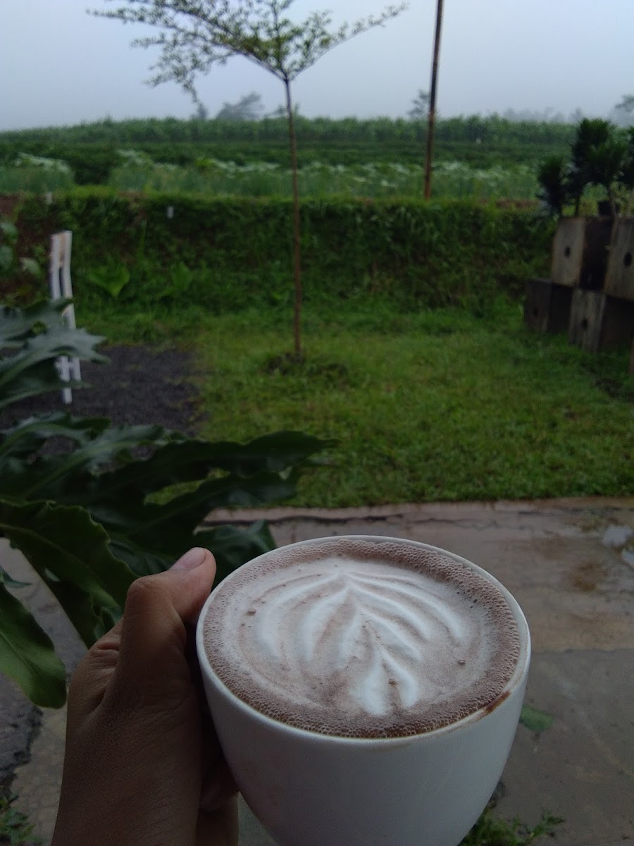 Wintosh Coffee-8