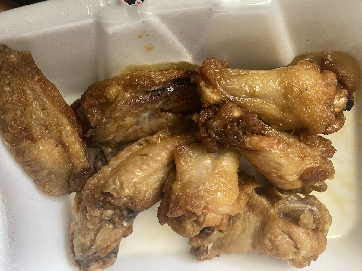 World Of Wings-2