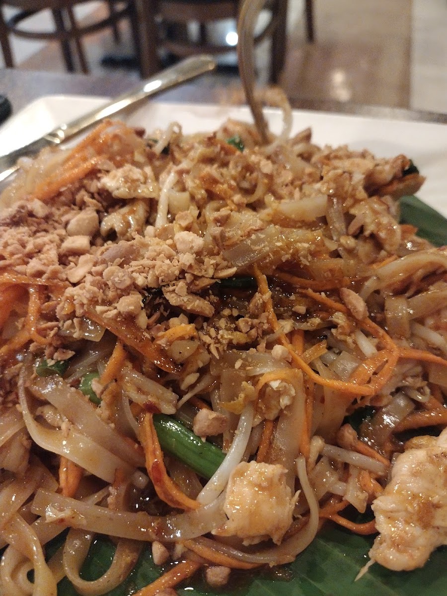 Wow's Thai Kitchen-5