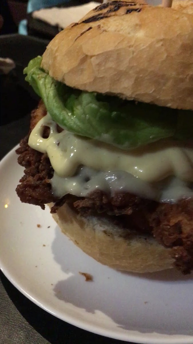 Wr Burgers-2