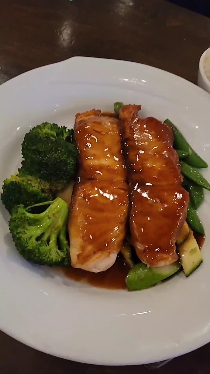 Xaga Sushi & Asian Fusion-2