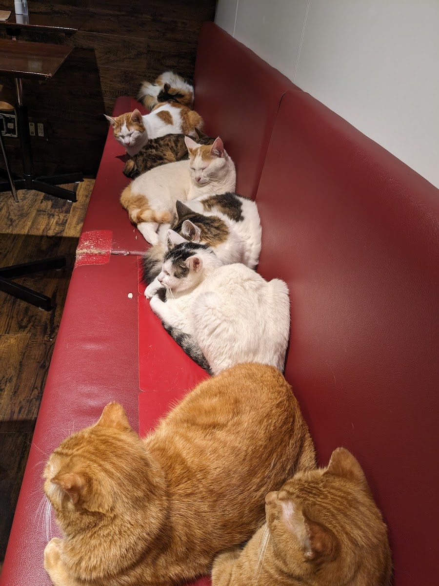 Yadorigi Cafe-9