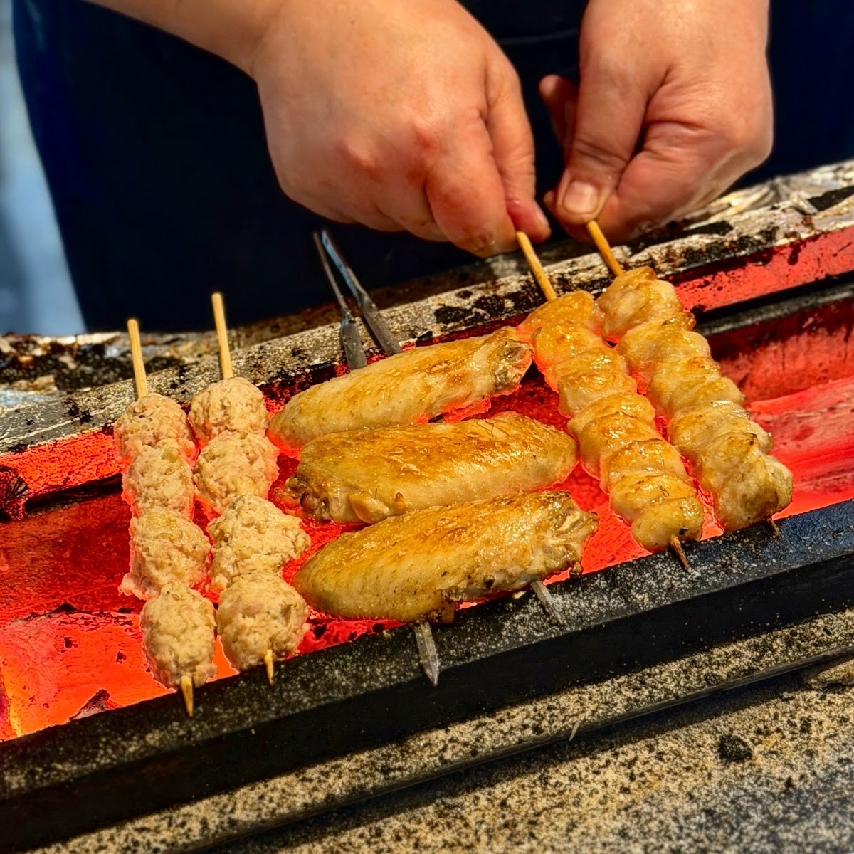 Yakitori Shizuka-3