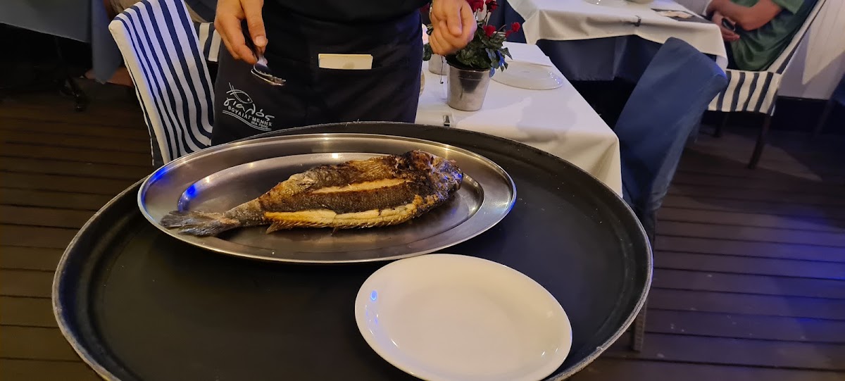 Yalos Seafood-10