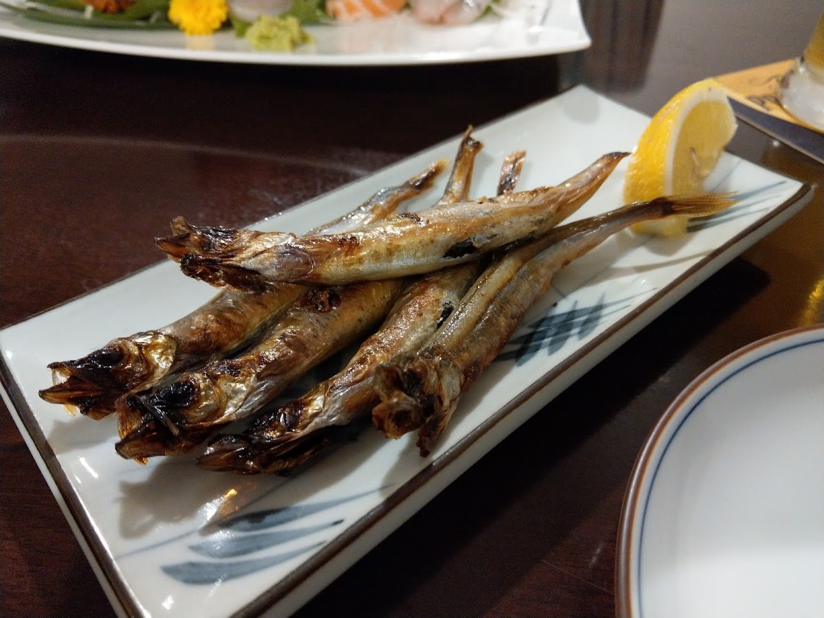 Yamagawa Japanese Restaurant, Beach Road-10
