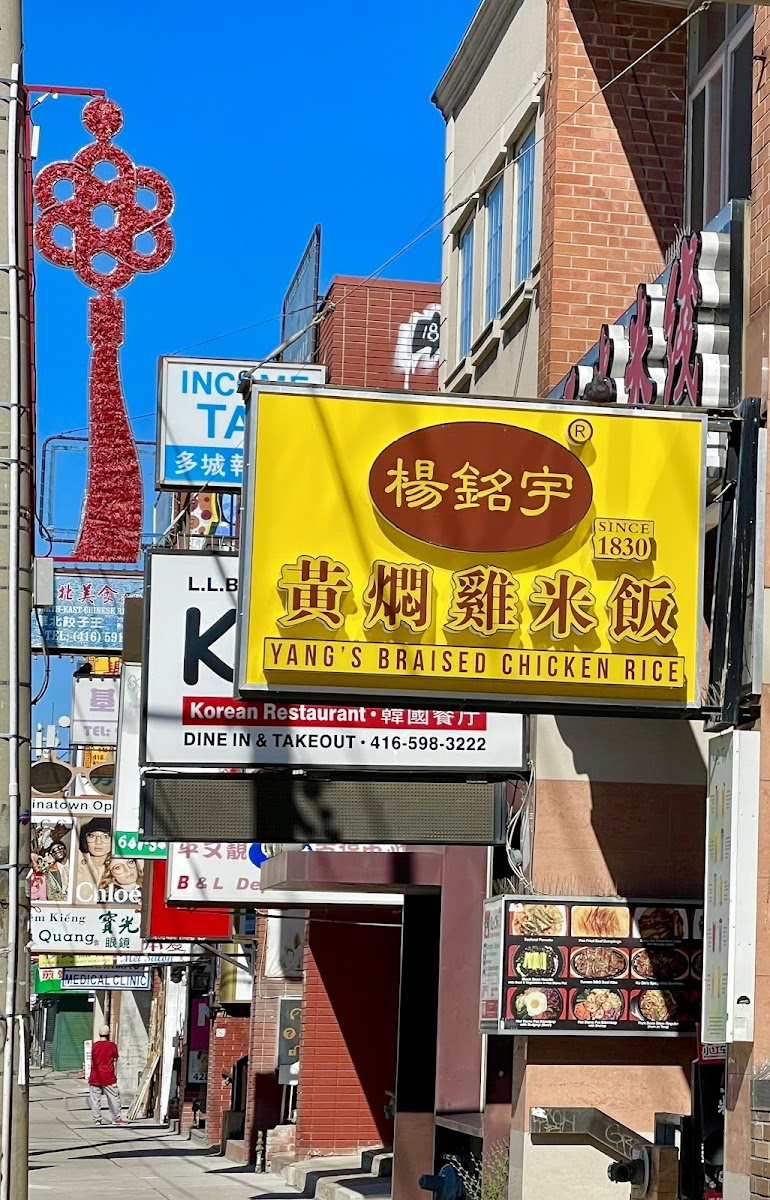 Yang's Braised Chicken Rice (Chinatown)杨铭宇黄焖鸡米饭
