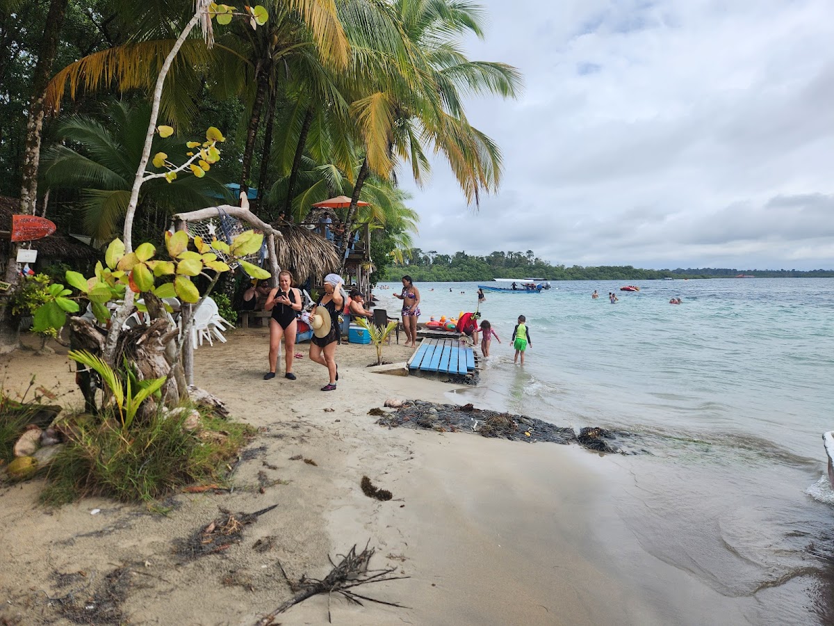 Yarisnori Bocas Del Toro-4
