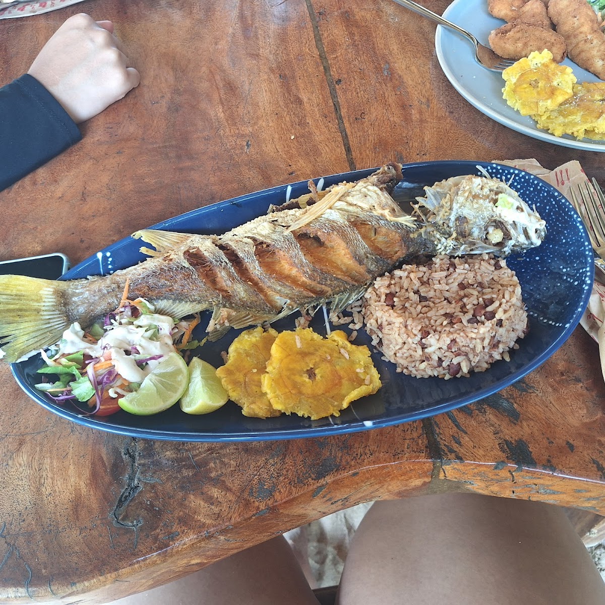 Yarisnori Bocas Del Toro-7