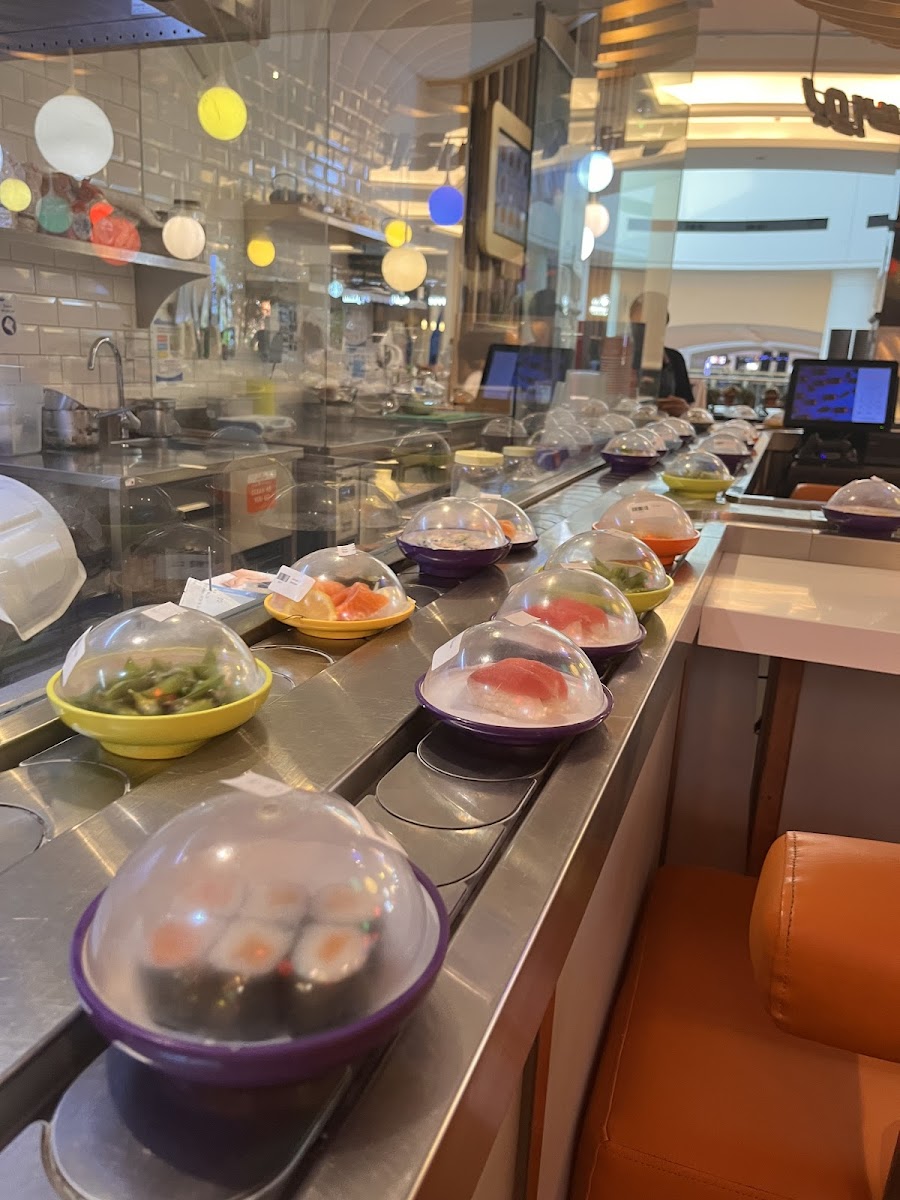 Yo! Sushi - Mall Of The Emirates-4