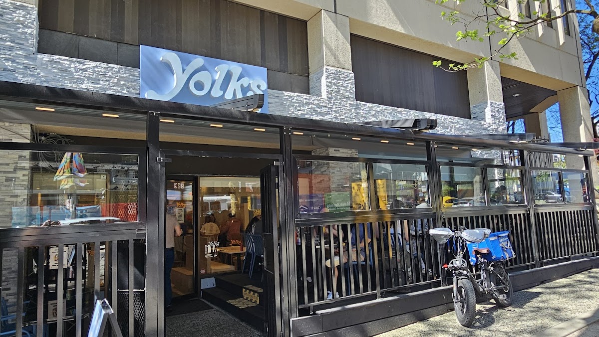 Yolks