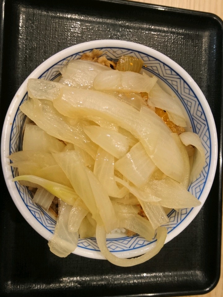 Yoshinoya Hamamatsu-Ishiharacho-10