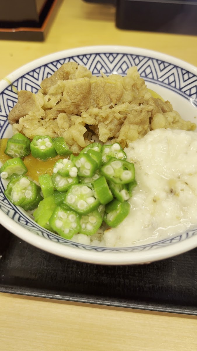 Yoshinoya Honancho-2