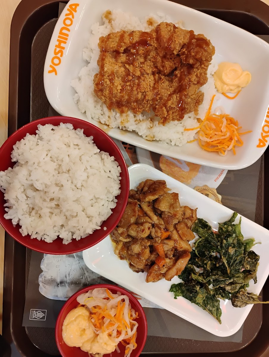 Yoshinoya Matos-3