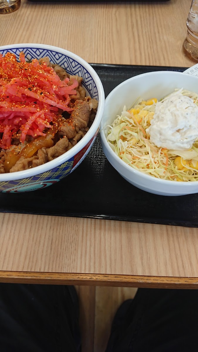 Yoshinoya Okayama-8