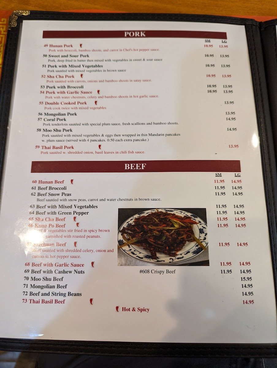 Menu Young Chow Cafe Chinese And Thai Restaurant-8