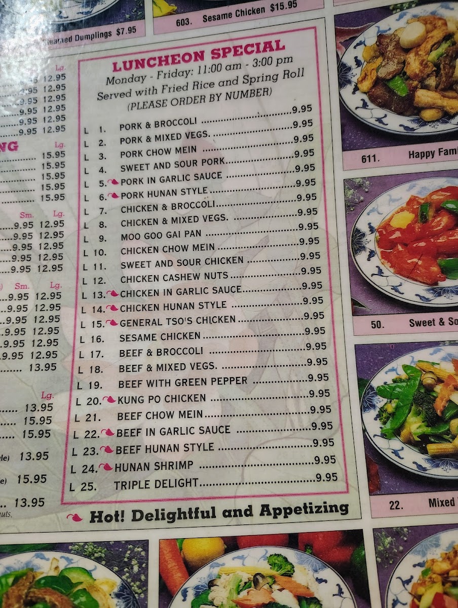 Menu Young Chow Cafe Chinese And Thai Restaurant-9