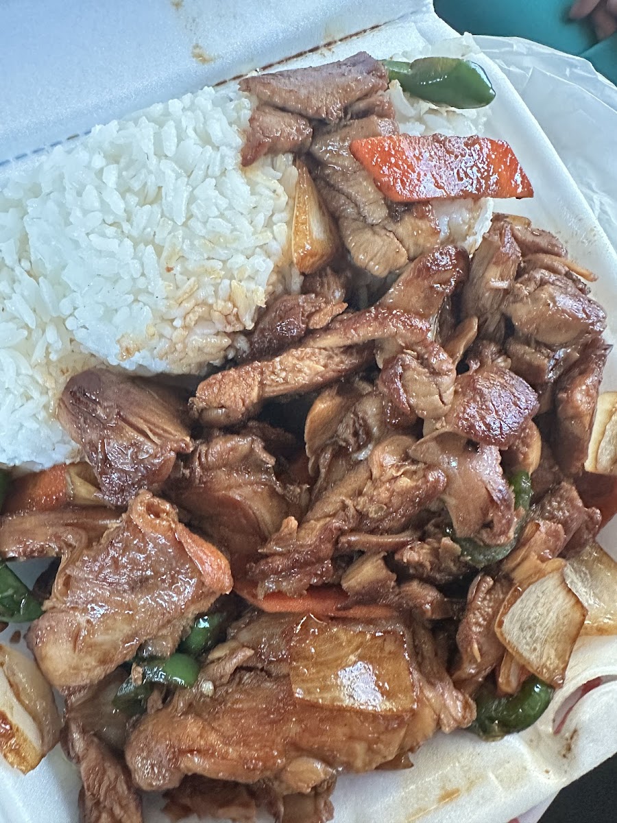 Young Hawaiian Bbq-10