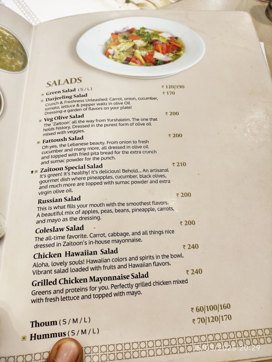 Menu Zaitoon Restaurant, Anna Nagar-7