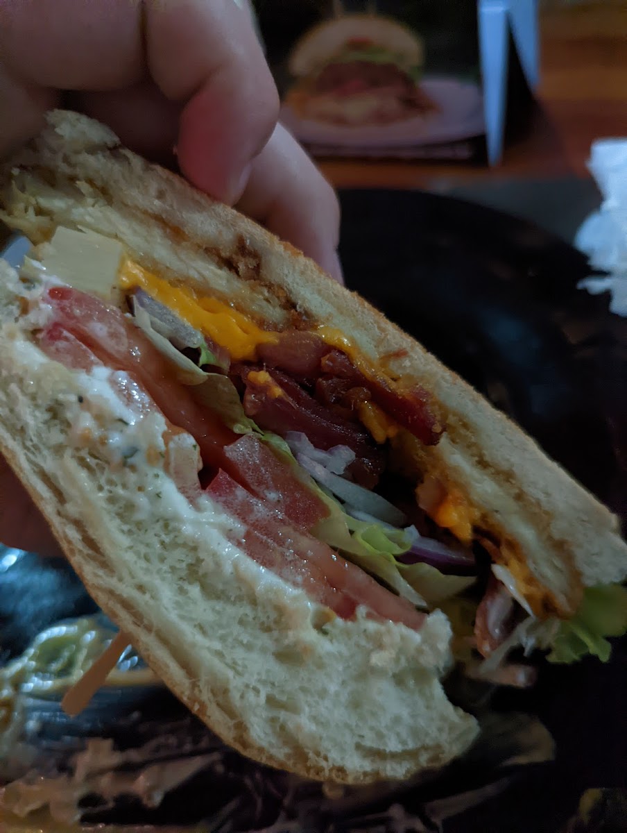 Zap Burguer - Águas De São Pedro-10