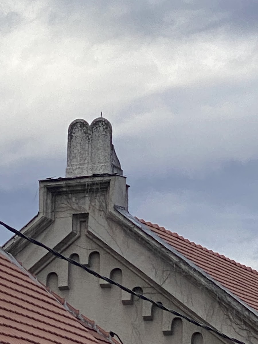 Zemun Synagogue-8